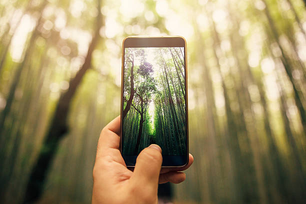 Geriausi kamerų telefonai: fotografijos technologijų apžvalga